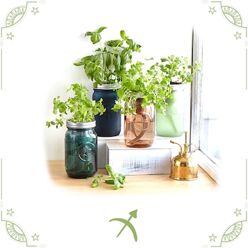 E-Comm: January Horoscopes, Sagittarius